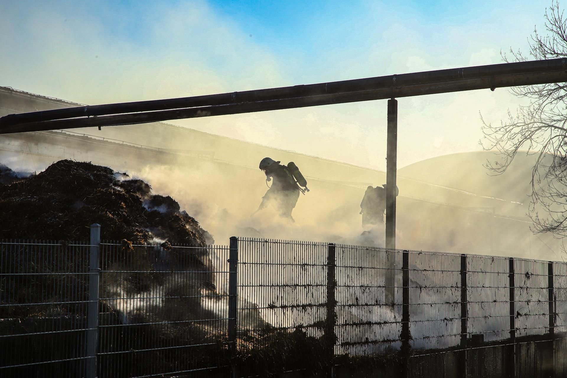 Kemberger Feuerwehrleute löschen einen Misthaufen.