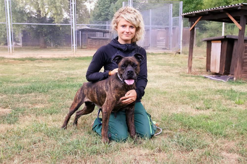 Tierpflegerin Carolin Heinz mit der zurückgelassenen Boxermixhündin Jessy, die nun ein neues Zuhause bekommen soll.