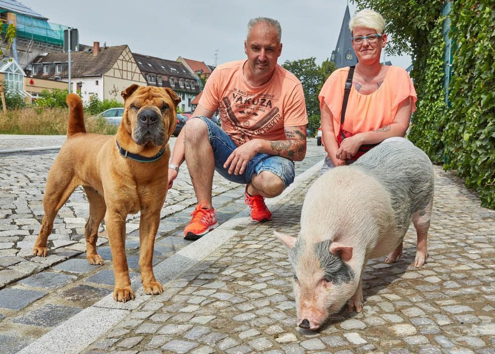 Auf Gassi-Runde: Hund Gin Tonic, Halter Ricardo Skrypschak, Halterin Icke Haas und das Minischwein Mr. Bacon.