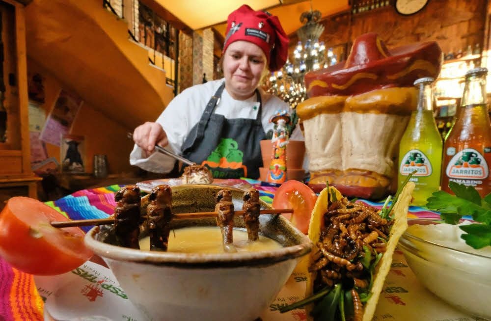Im mexikanischen Restaurant Espitas in Halle werden Insektengerichte serviert. Köchin Michaela Huth bereitet unter anderem eine Maiscremesuppe mit gebackenen Heuschrecken zu.