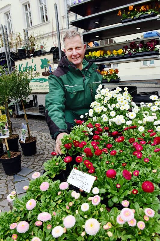 Daniel Kuhn aus Liedersdorf bietet seine Pflanzen auf dem Eisleber Wochenmarkt an.