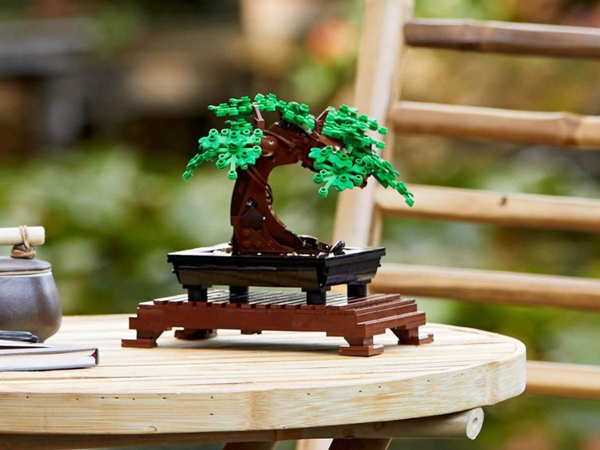 Unter den Lego-Neuheiten 2021 findet man auch diesen dekorativen Bonsai-Baum.