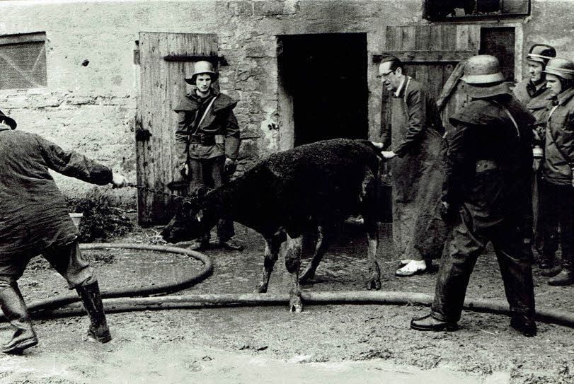 58 Tiere überlebten den Brand - neun starben.