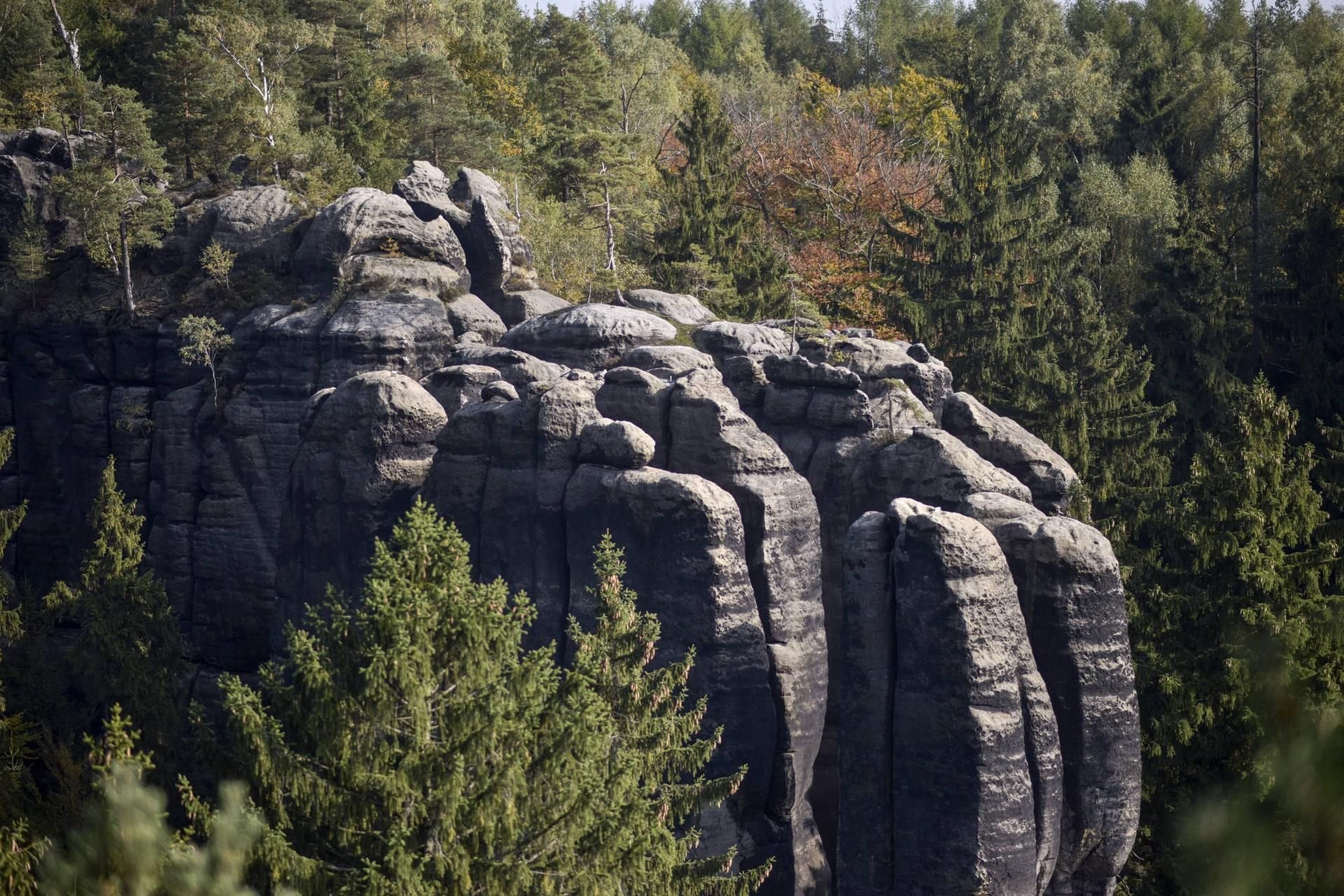 Der Nationalpark Sächsische Schweiz bietet auf einer Fläche von Fläche von 93 Quadratkilometern einzigartige Felsformationen aus Sandstein.