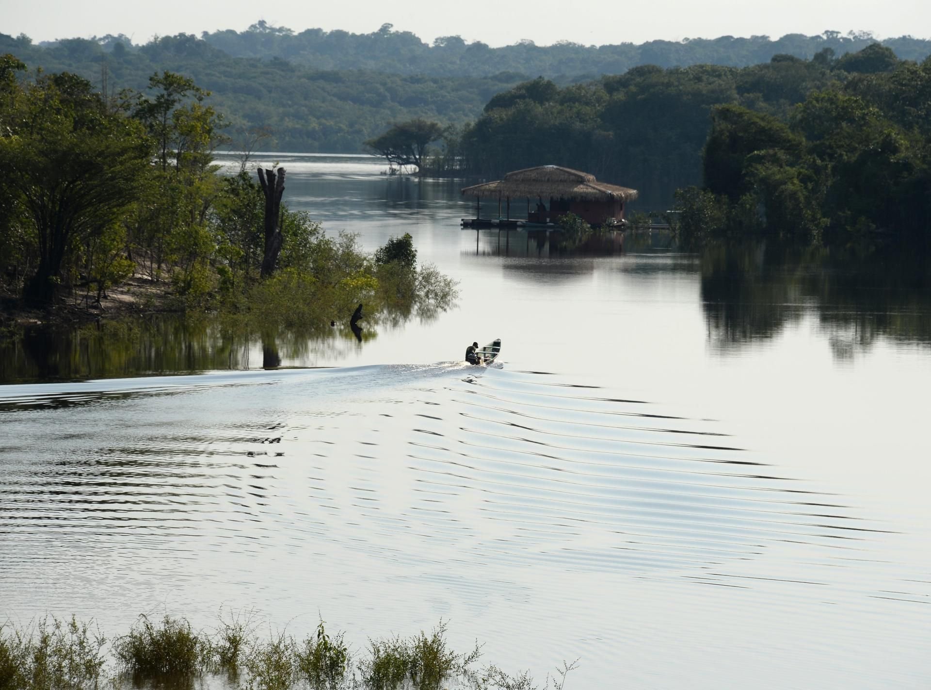 Der Amazonas bei Manaus (Symbolbild)