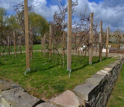 Am Weinberg wird die Trockenmauer regelmäßig abgetragen.