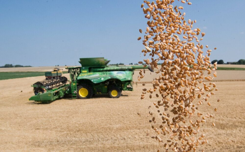 Auch dieses Jahr spüren die Landwirte die Folgen des trockenen Sommers durch geringere Ernteerträge.