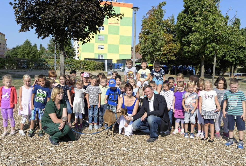 Symbolischer Auftakt in der Grundschule Waldstraße. Alle Abc-Schützen der Stadt Dessau-Roßlau erhalten einen Tierparkbesuch geschenkt.