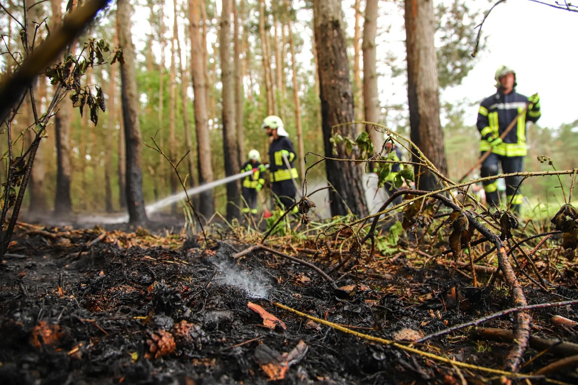 Waldbrand zwischen Bad Schmiedeberg und Ogkeln