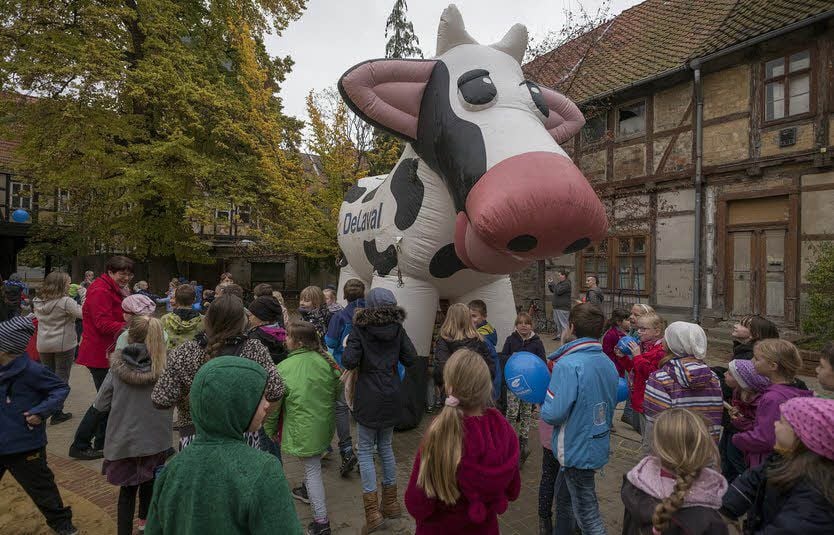 Eine riesige Kuh auf dem Schulhof gibt es nicht alle Tage