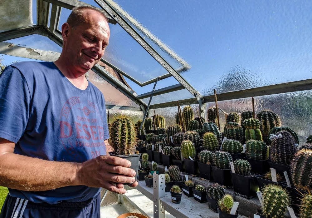 Mario Grieser in seinem Gewächshaus: Hier spielt er manchmal Biene, hantiert mit feinen Pinseln, um neue Pflanzen zu züchten.