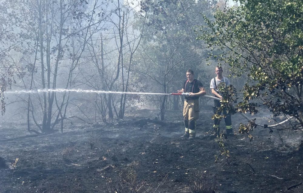 Auf dem Spitzberg kämpften Feuerwehrleute stundenlang mit den Flammen. Immer wieder loderten Glutnester auf.
