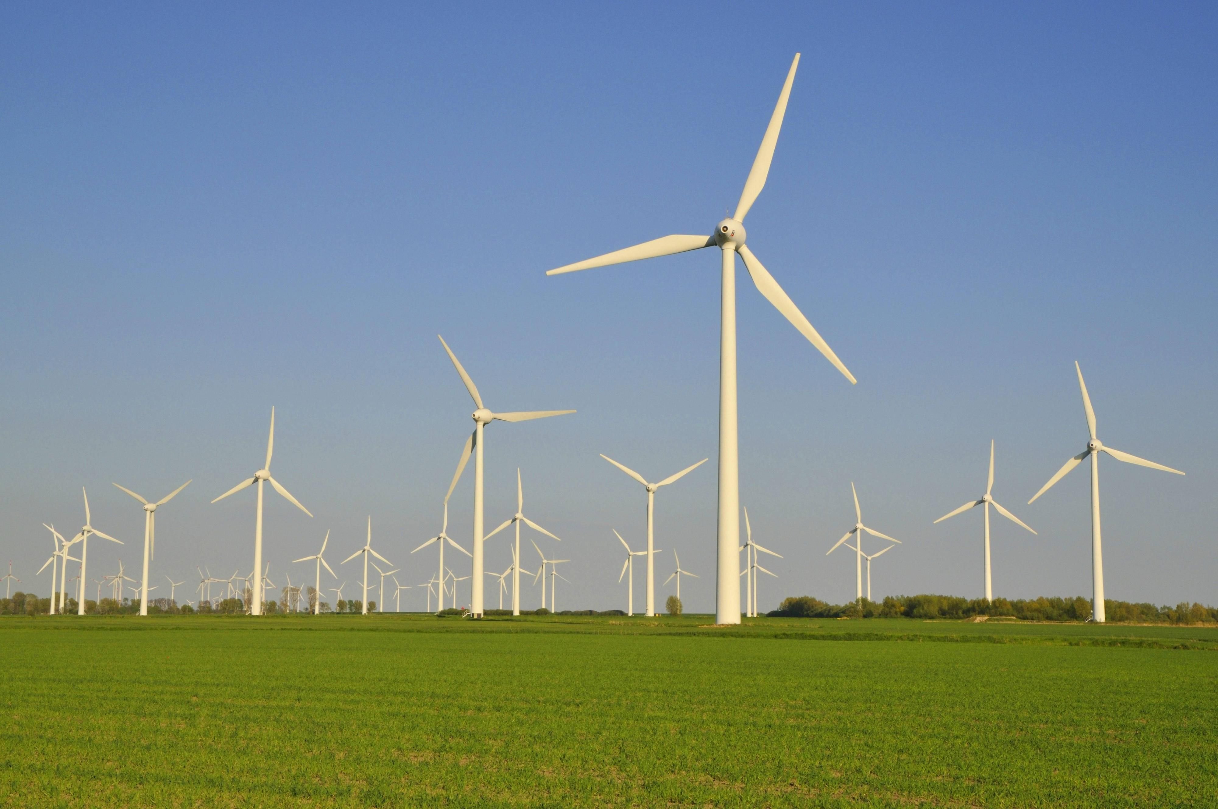 Blick auf einen Windpark.
