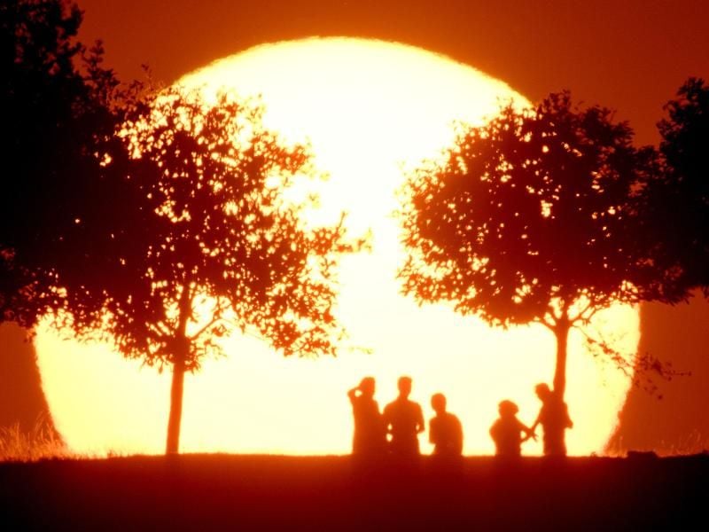 Im September 2019 lag die durchschnittliche Temperatur sogar um 0,02 Grad Celsius über der des bisherigen Rekordjahrs 2016. Foto: Julian Stratenschulte/dpa