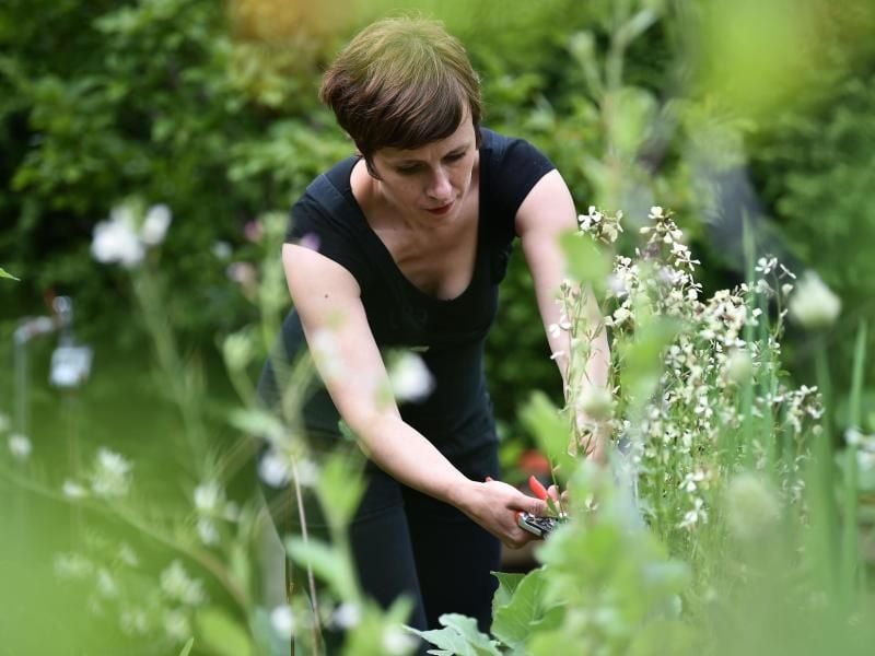 Gärten und Balkone erleben durch Corona einen neuen Boom. Das bestätigt auch Bloggerin Carolin Engwert, die in Berlin einen Schrebergarten besitzt. Foto: Sven Braun/dpa