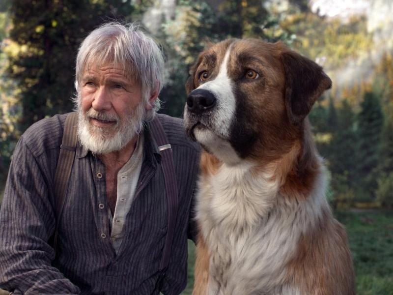 Zusammen mit seinem Hund Buck schlägt sich John Thornton (Harrison Ford) in der Wildnis Alaskas durch. Foto: -/Twentieth Century Fox/dpa