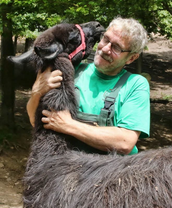 Günter Ecke gibt seinen Lamas gerne Streicheleinheiten.