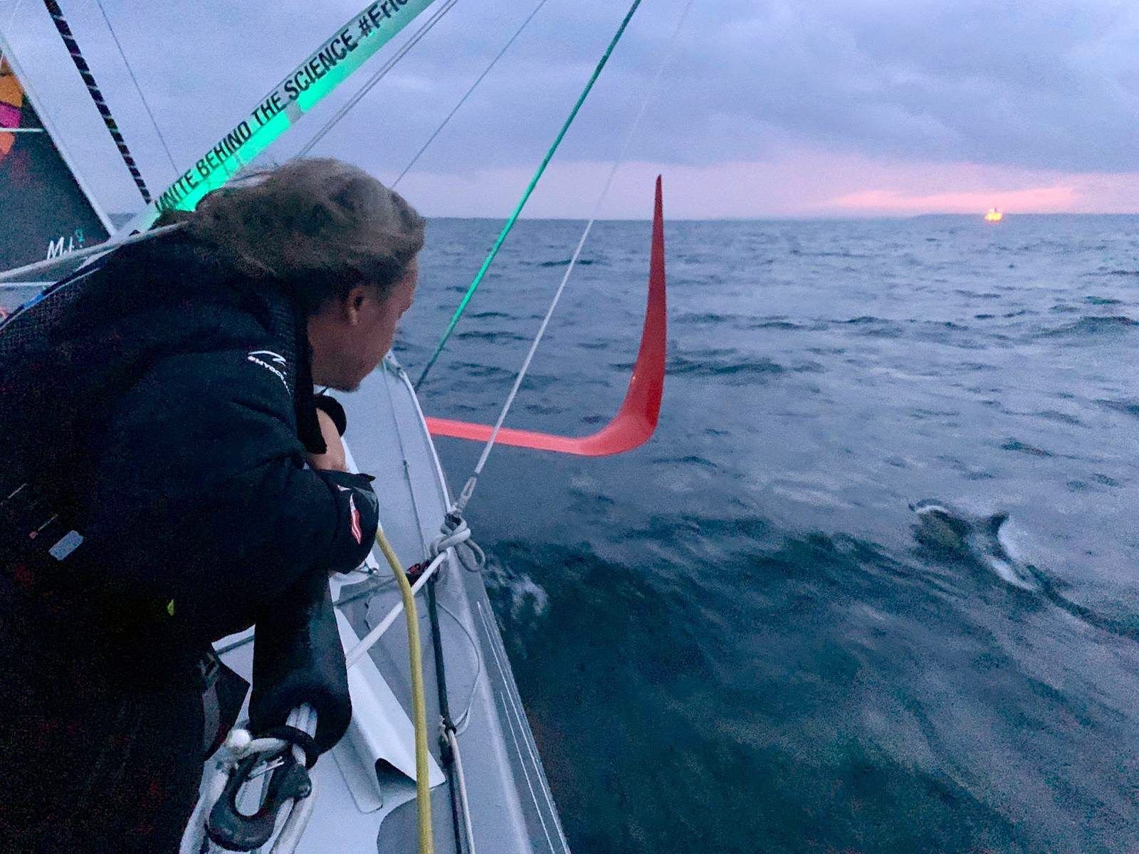 Ein Delfin begleitet die Yacht "Malizia" westlich der Azoren, Gretas Vater Svante Thunberg beobachtet ihn.
