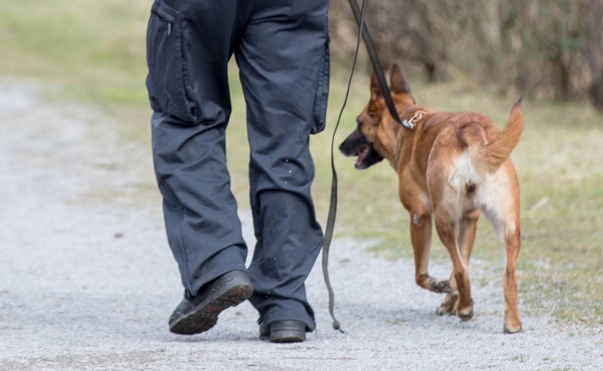 Suchhunde haben am Dienstag unterhalb der Lobdeburg den Kopf der zerstückelten Leiche aufgespürt.