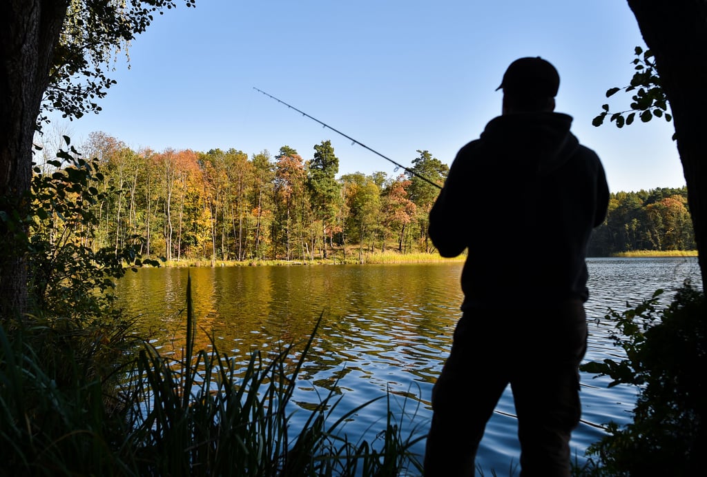 Ein Angler versucht mit einer Spinnangel am 17.10.2017 am Trepliner See nahe Treplin (Brandenburg) einen Hecht oder Barsch zu fangen. Foto: Patrick Pleul/dpa-Zentralbild/ZB +++(c) ZB-FUNKREGIO OST - Honorarfrei nur für Bezieher des ZB-Regiodienstes+++ +++ dpa-Bildfunk +++