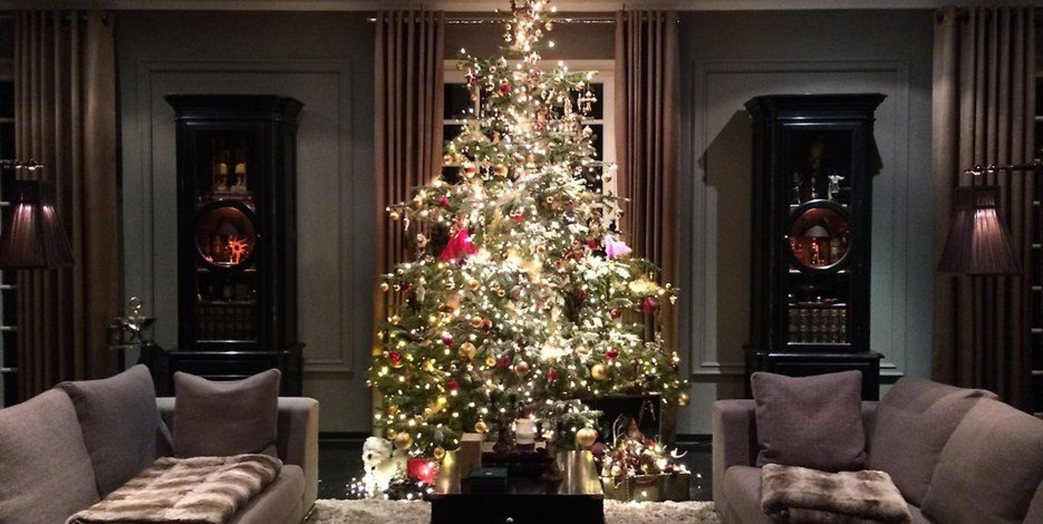 Bärenburger unterm Baum