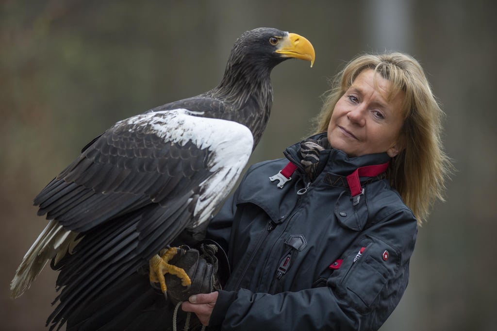 Der Riesenseeadler „Grobi“ sitzt auf einem älteren Foto auf dem Arm der Inhaberin der Falknerei Bergisch Land in Remscheid, Carola Schossow.