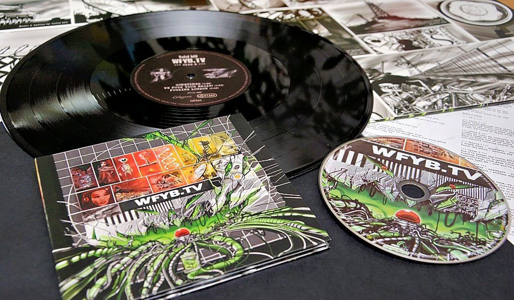 Auf Vinyl und CD ist das erste Album namens ?WFYB.TV? der Band Valid Blu erschienen.