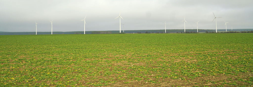 Am Hang der Karower Platte Richtung Brandenburg verhinderten Bürger und Soldaten das Plündern von Karow und Zitz.