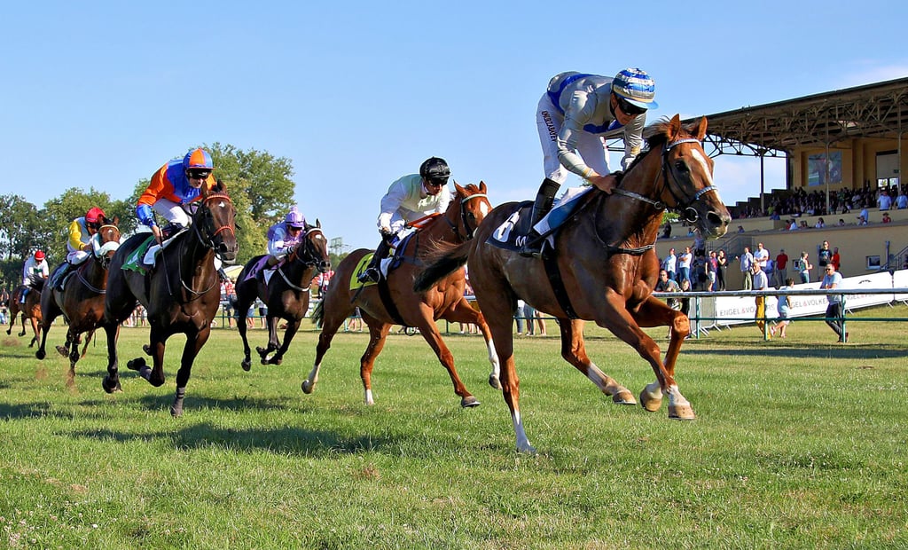 Im vergangenen Jahr gewann Jockey Bauyrzhan Murzabayev mit ?Sporting Hunter? (vorn) den Preis der Ottostadt Magdeburg. Auch am Freitag sitzt der gebürtige Kasache wieder im Sattel.