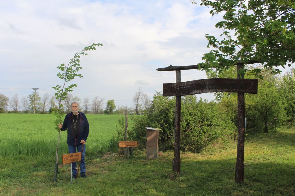 Hans-Eike Weitz achtet darauf, dass die "Baumallee des Jahres" in Rottmersleben alljährlich um einen mit einem Namensschild versehenen "Baum des Jahres" ergänzt wird.