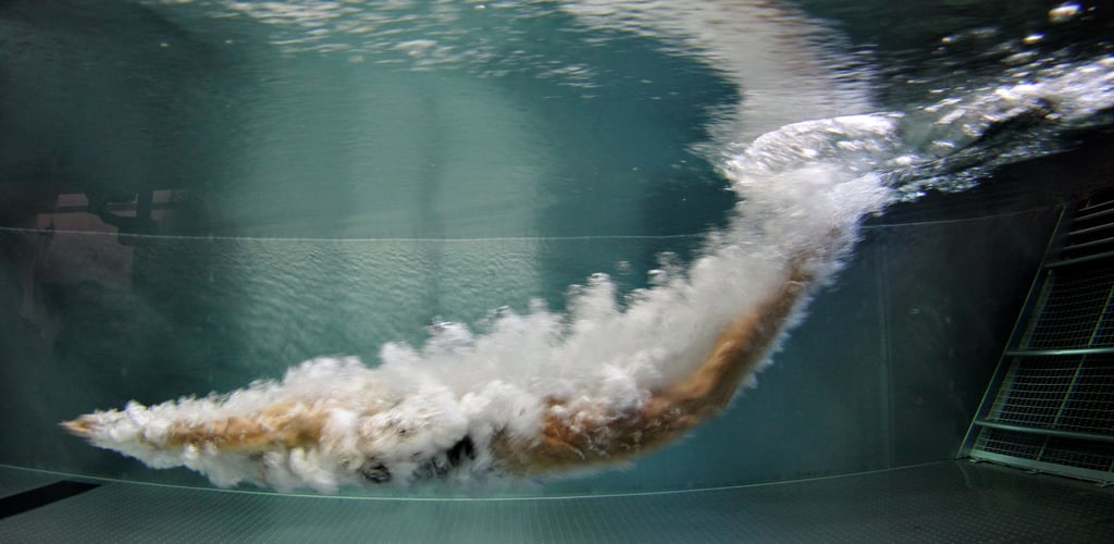 In Magdeburg soll eine neue Schwimmhalle für Leistungssportler entstehen.