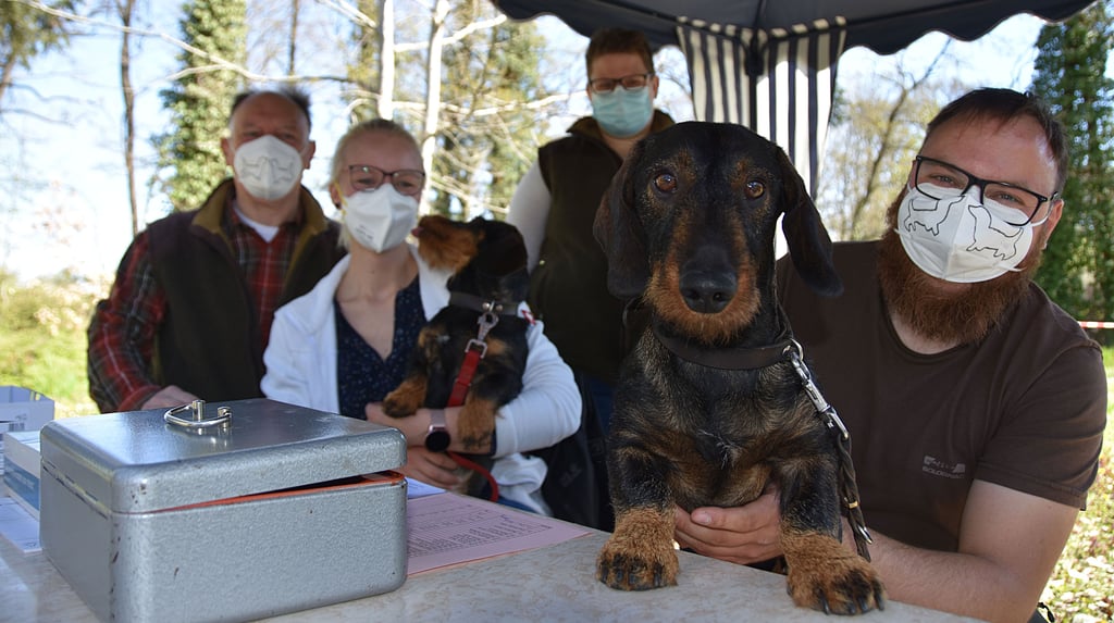 Zu den Helfern der Zuchtschau im Calvörder Grieps zählen Hans-Joachim Schöpke (v.l.) aus Königs Wusterhausen, Laura Lohmann aus Ausleben mit Hündin Irma , Nicole Köhler aus Arendsee und Marcell Seidel mit Dackelrüde Gismo.