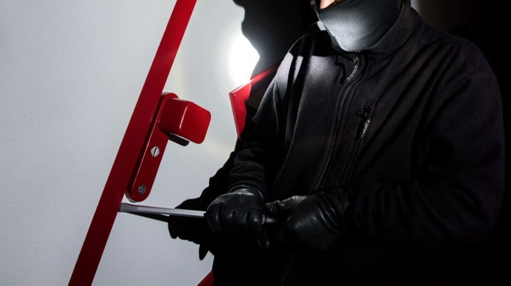 Nachdem sie ertappt wurden, suchten die Täter das Weite.