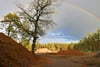 Ein Regenbogen über dem Waldheimareal. Dieses ist seit Jahrzehnten nicht nur mit ehrgeizigen Plänen, sondern auch mit Hoffnungen verbunden. In diesem Jahr soll mit dem Bau von Ferien- und Eigentumswohnungen begonnen werden.