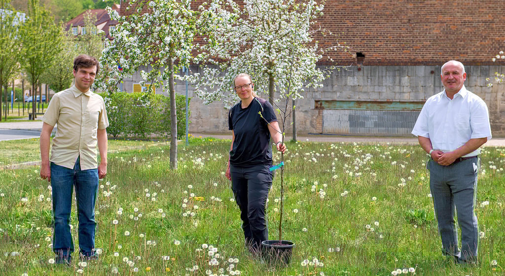Der Bosdorfer Apfel, einst berühmt als „Apfel aus Pforte“, soll dem einstigen Zisterzienserkloster wieder Bekanntheit verschaffen, gewachsen in einem „Meistergarten“. Prokurator Arndt Gerber (r.), Samuel Winkler, wissenschaftlicher Mitarbeiter, und Kulturlandschaftsmanagerin Sandra Rosendahl setzen den ersten.