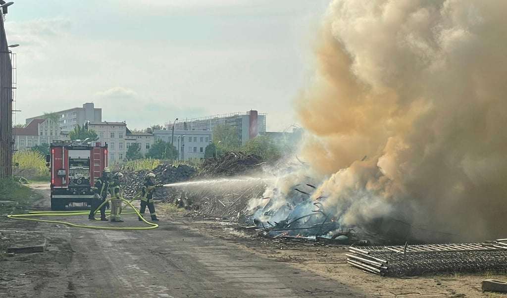 Auf dem Gelände des Werks 13 an der Salbker Straße hat am 11. Mai 2021 ein Totholzstapel gebrannt. Gegen 17 Uhr traf die Feuerwehr ein und löschte das brennende Holz, das für ein ökologisches Projekt auf dem ehemaligen Magdeburger Sket-Gelände geplant war.
