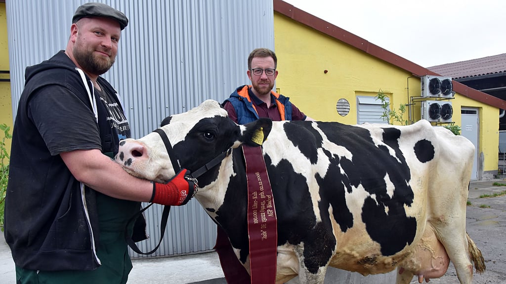 Jade ist im Stall der Agrar Produktionsgesellschaft Bösdorf-Lockstedt mbH eine Superkuh. Die Schwarz-Weiß-Gefleckte hatte über 100.000 Liter Milch gegeben und damit die Rekordmarke geknackt. Mächtig stolz auf diese Milchkuh sind Herdenmanager Erik Wilke (Mitte) und Mitarbeiter Christopher Reinecke.