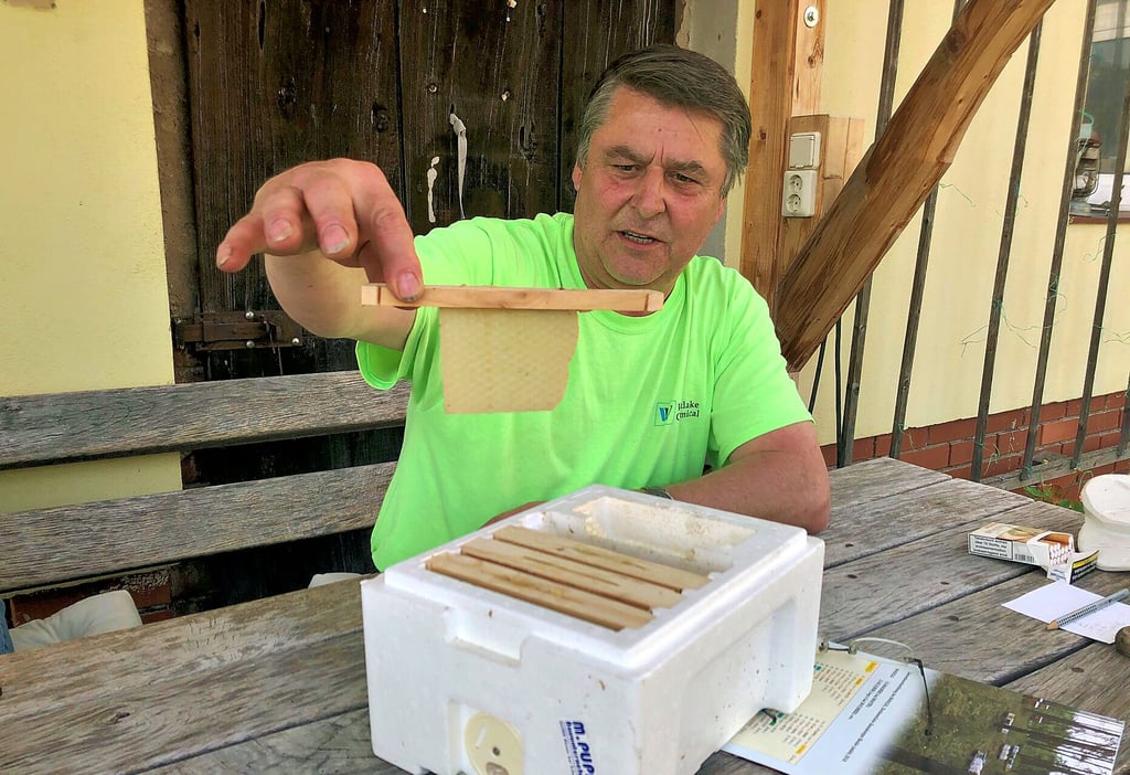 Michael Puppe zeigt den Aufbau einer Transportkiste, mit der Bienenköniginnen zur Belegstelle in die Annaburger Heide gebracht werden.