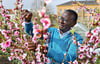 Karamba Diaby hat in seinem Kleingarten viele Obstbäume neu angepflanzt. 