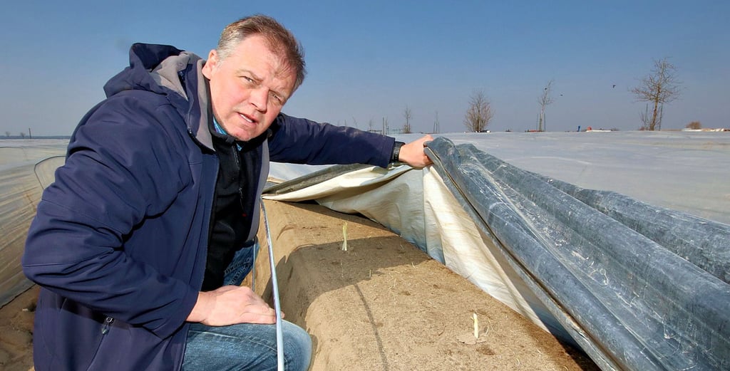 Der Deetzer Landwirt Mathias Mösenthin erlebt wegen der Corona-Pandemie weniger Nachfrage nach frischem Spargel aus der Gastronomie.