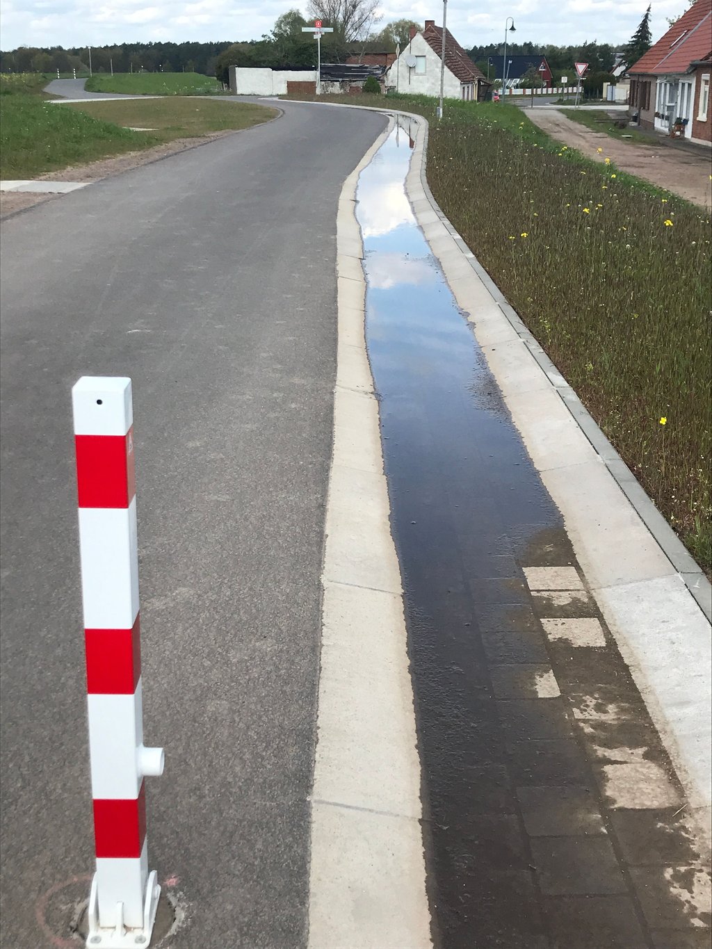 Der Abfluss in dieser neuen Regenrinne auf der Deichkrone funktioniert hier nicht. ?Kuhtränke? sagen die Sandauer dazu.