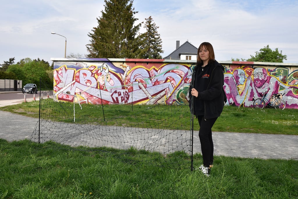 Ein mobiler Hühnerzaun an der Magdeburger Hundewiese soll als eine Notlösung mehr Sicherheit schaffen.