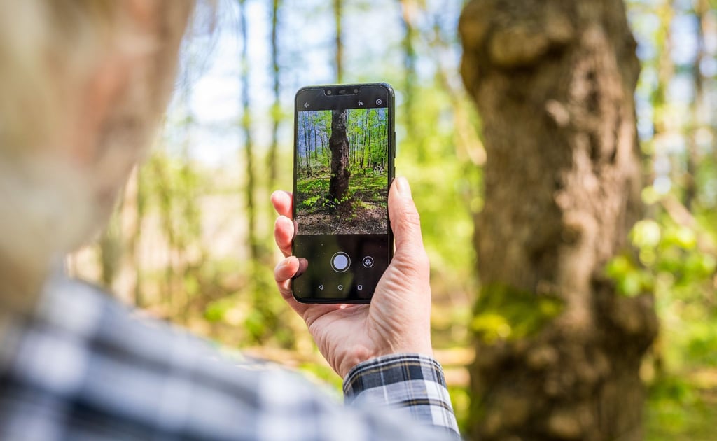 Rolf Jantz, der zu der Community der „Naturgucker“ gehört, fotografiert mit einer App auf seinem Smartphone einen Baumstamm, um den Baum zu bestimmen.