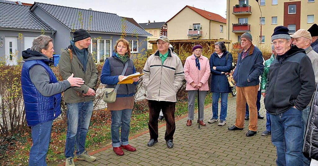 Anwohner, Räte und Bund-Mitglieder diskutierten im November 2018 an der August-Bebel-Straße in Osterburg über die Fällungen. Jetzt sind die Ersatzpflanzungen erfolgt.