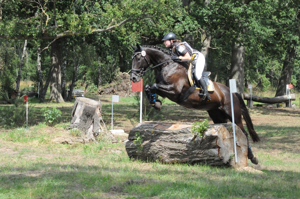 Reiten, wie hier in Krusemark, vermissen die Sportler.