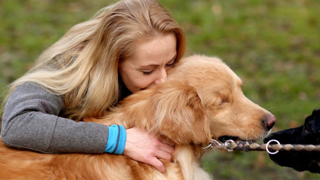 Am 13. Juni ist "Tag des Hundes". Die Volksstimme blickt auf Probleme, zeigt die Bedeutung von Hunden auf. Foto: Markus Hibbeler/dpa-tmn