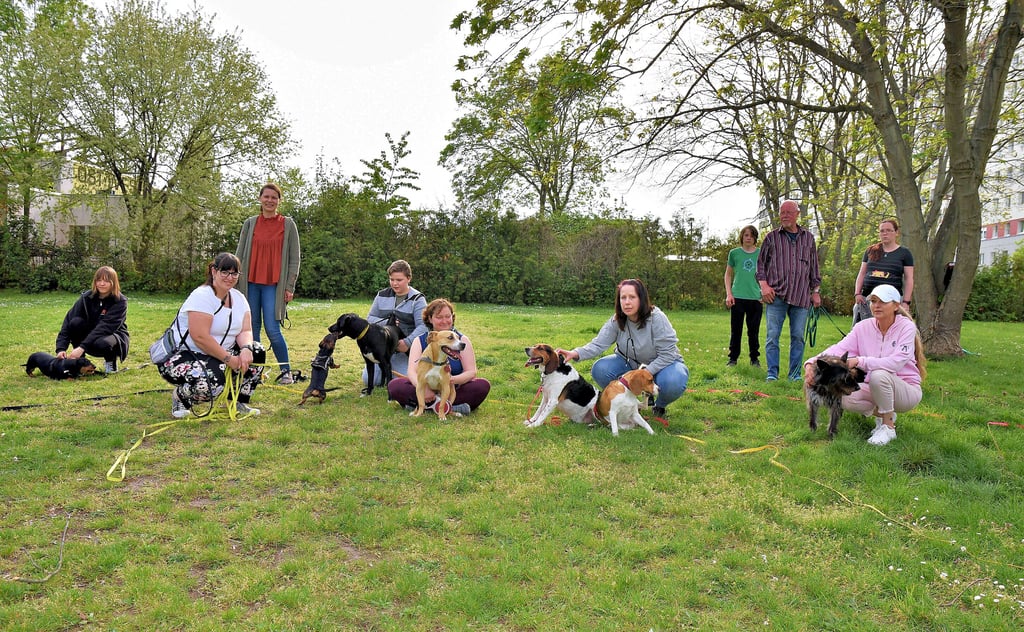Auf der Hundewiese Klosterwuhne in Magdeburg können die Vierbeiner unangeleint ihren Bewegungsdrang ausleben. Die Halter schauen dennoch bangen Blickes auf ihre Tiere.