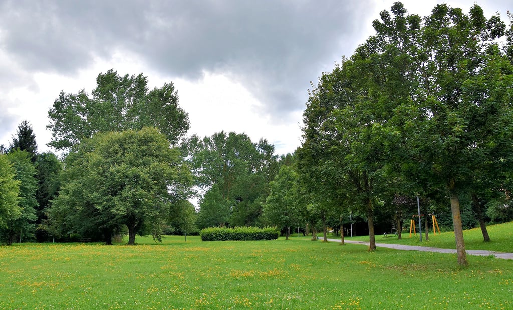 Der Arbeitskreis Kurpark will in der Grünanlage in Hasselfelde einen neuen Spielplatz bauen.