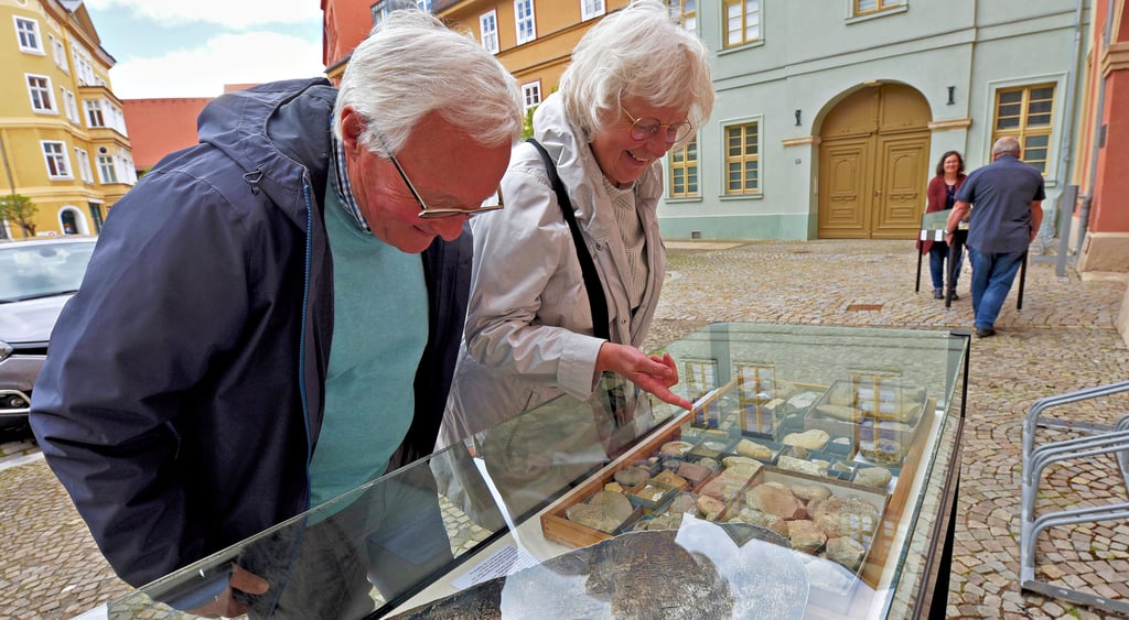 Zahlreiche Spaziergänger besuchten die Mini-Ausstellung.