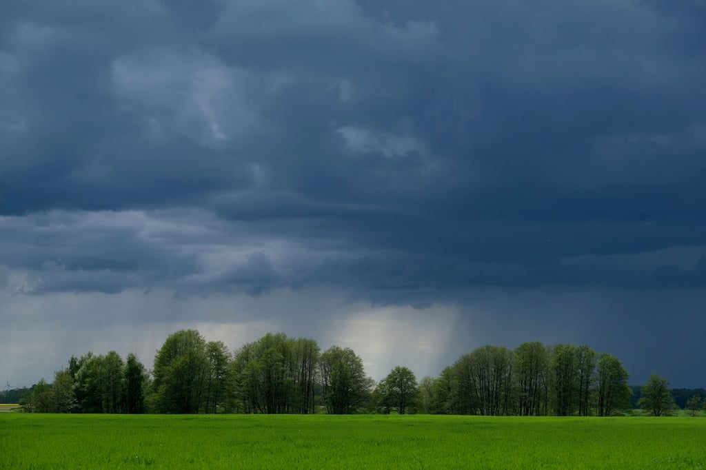 Auch zum Start in die Woche herrscht in Mitteldeutschland kühles und wechselhaftes Wetter vor.